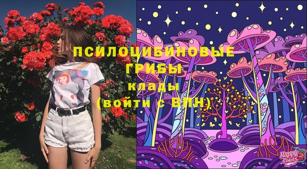 соль курить ск Карталы