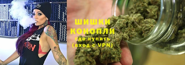 соль ск Каменка