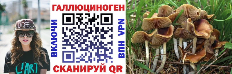 Псилоцибиновые грибы Magic Shrooms  сайты даркнета какой сайт  Красный Кут 